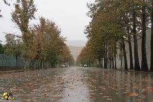 خیابان قم آباد در باران