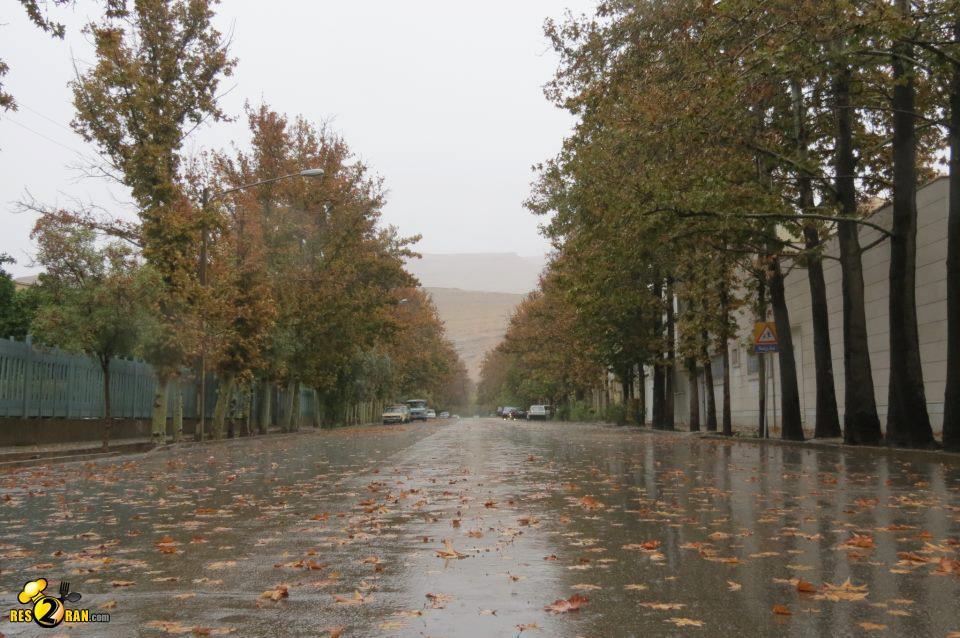 خیابان قم آباد در باران